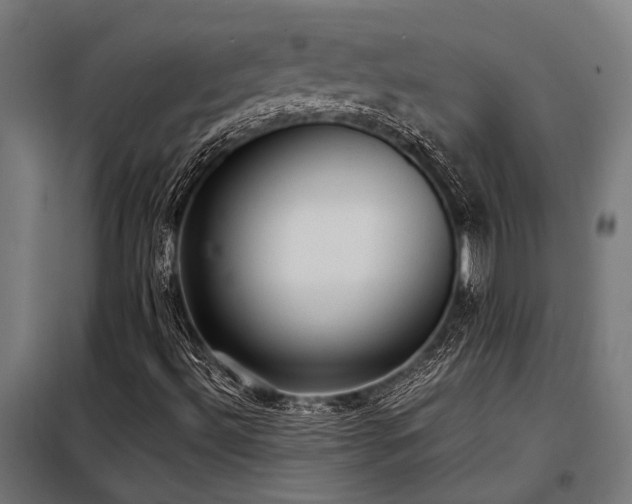 X0000098191492200804241232