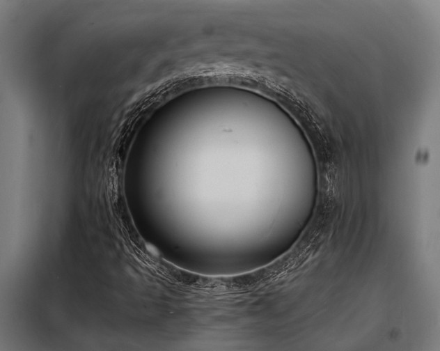 X0000098191493200804241232