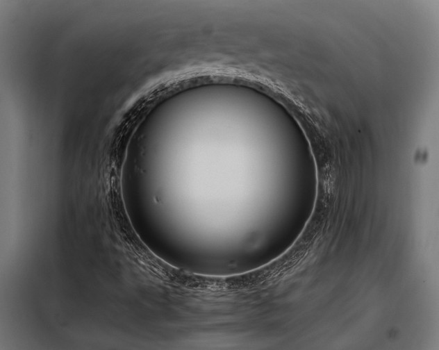 X0000098191495200804241232