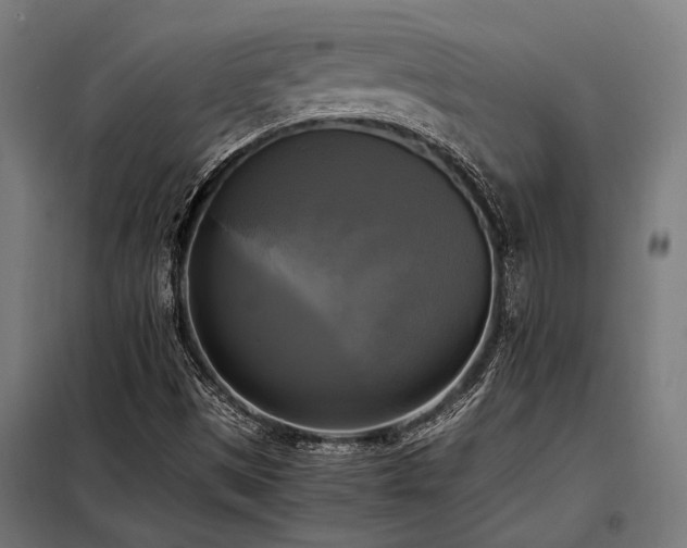 X0000098191497200804241232