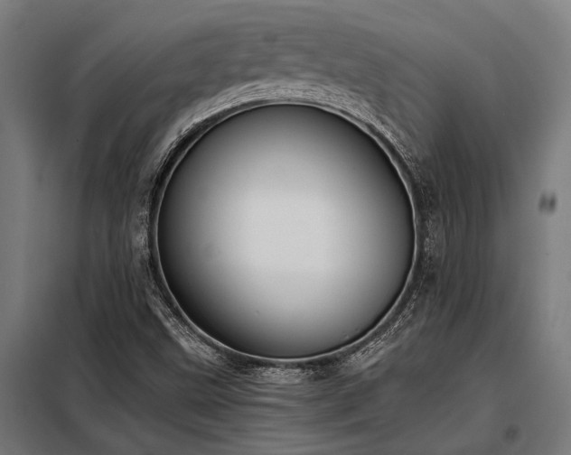 X0000098191499200804241232