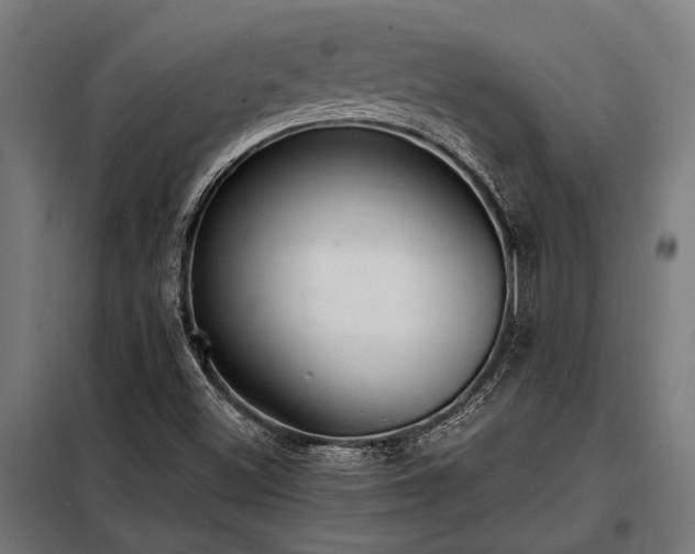 X0000098191500200804241232