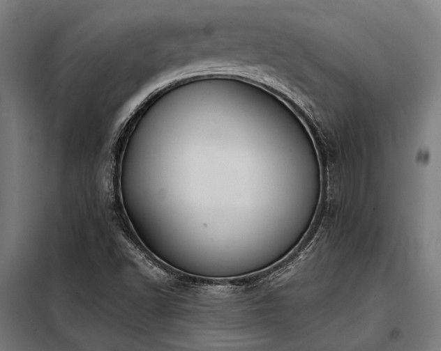 X0000098191502200804241232