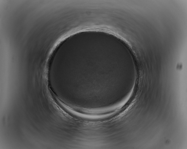 X0000098191506200804241232