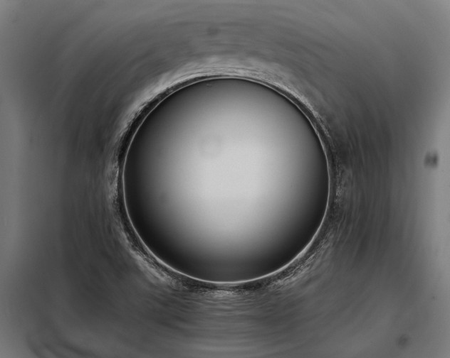 X0000098191507200804241232