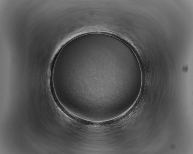 X0000098191508200804241232