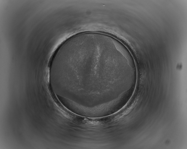 X0000098191509200804241232