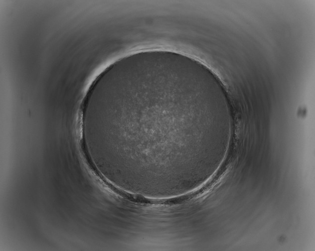 X0000098191510200804241232