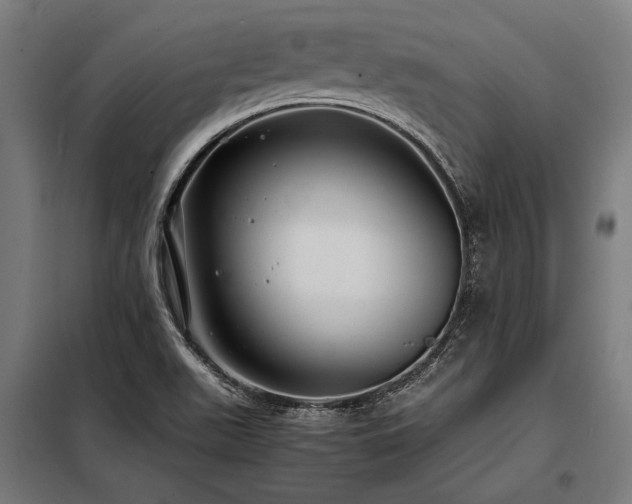 X0000098191511200804241232
