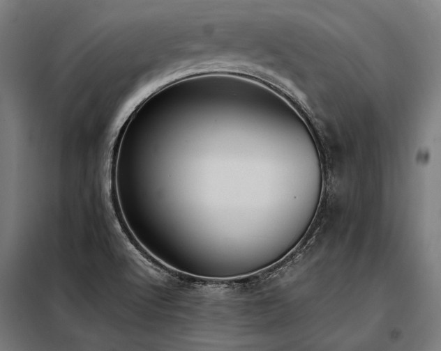 X0000098191512200804241232