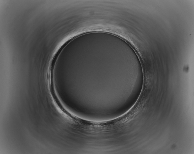 X0000098191515200804241232