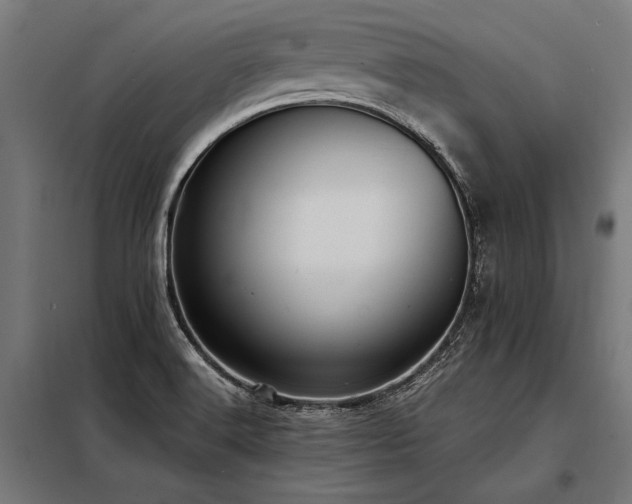X0000098191516200804241232