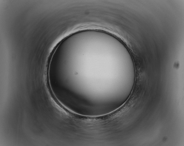 X0000098191518200804241232