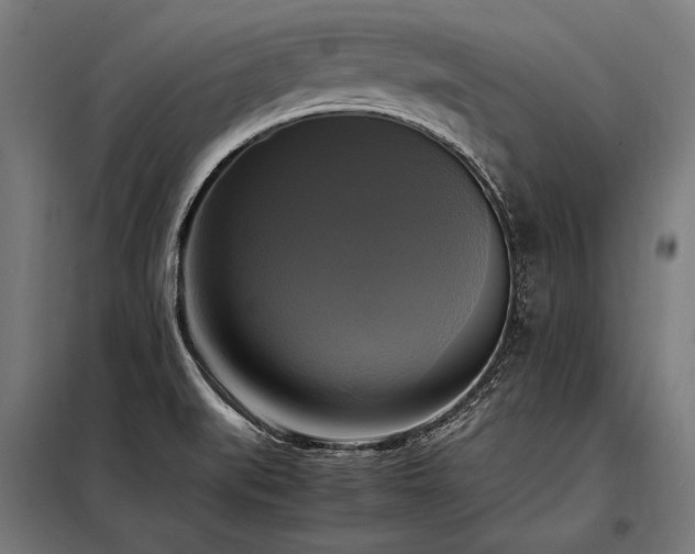 X0000098191519200804241232