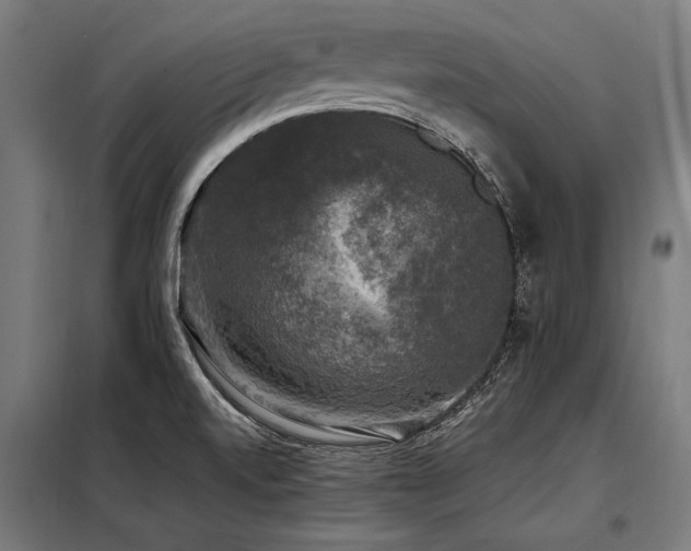 X0000098191520200804241232