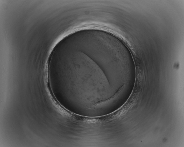 X0000098191522200804241232