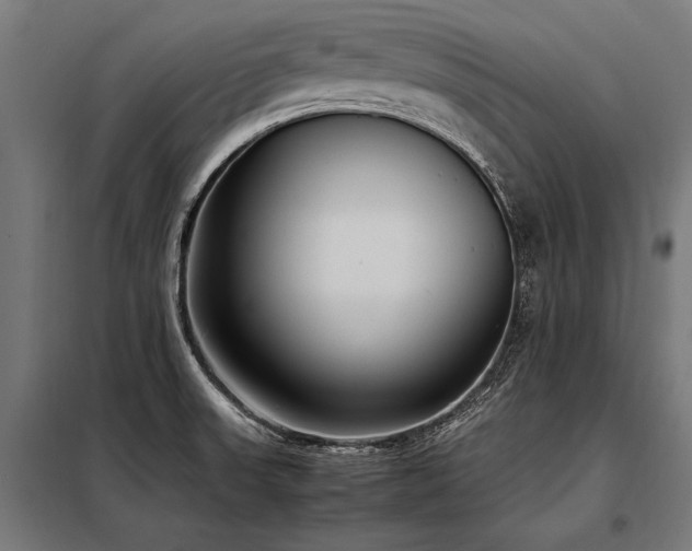 X0000098191523200804241232