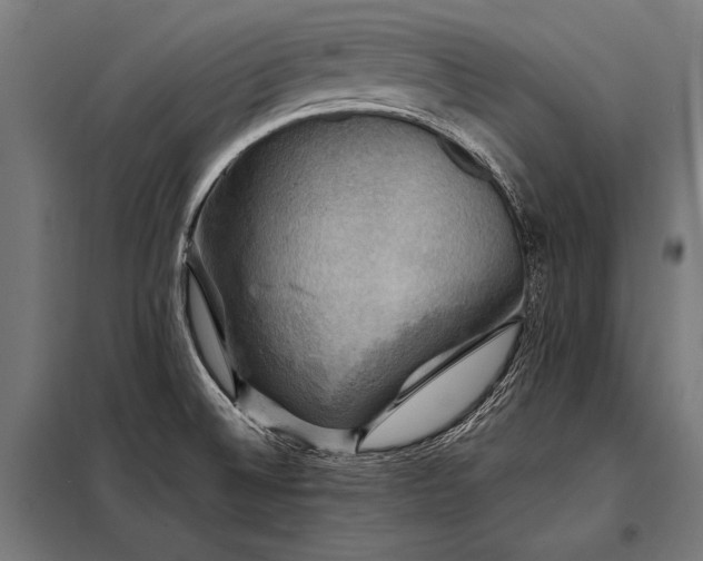 X0000098191524200804241232