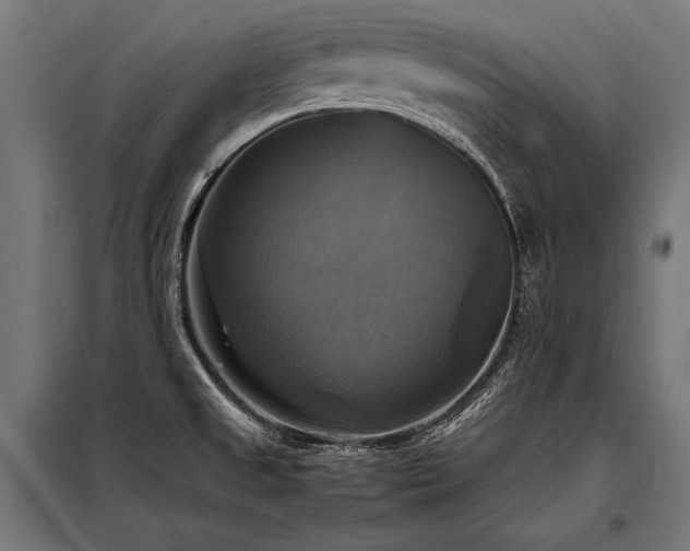 X0000098191525200804241232