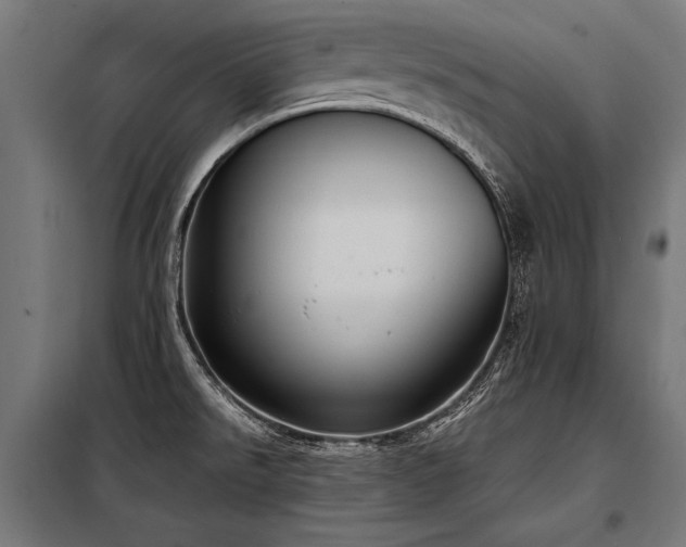 X0000098191526200804241232