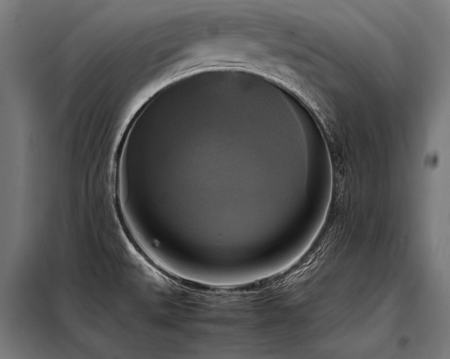 X0000098191527200804241232