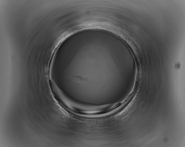 X0000098191529200804241232