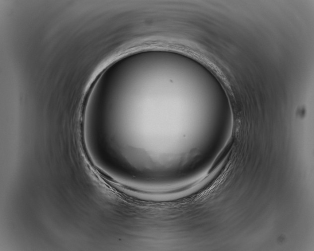 X0000098191530200804241232
