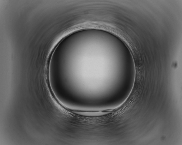X0000098191531200804241232
