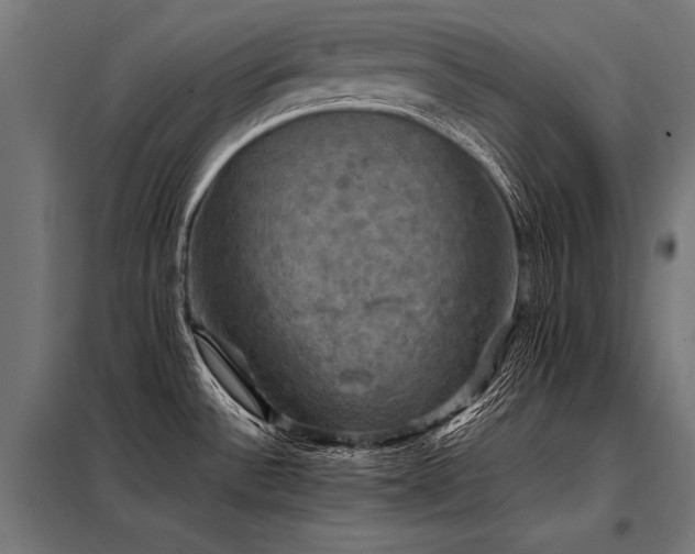 X0000098191532200804241232
