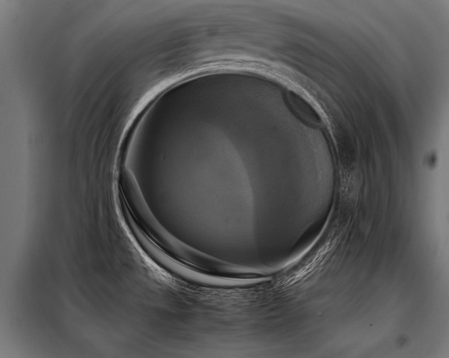 X0000098191533200804241232