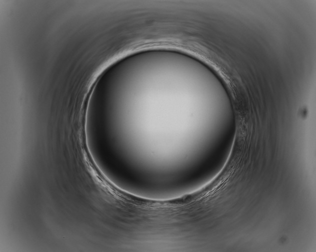 X0000098191534200804241232