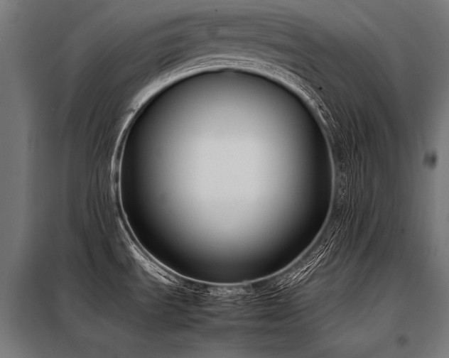 X0000098191535200804241232