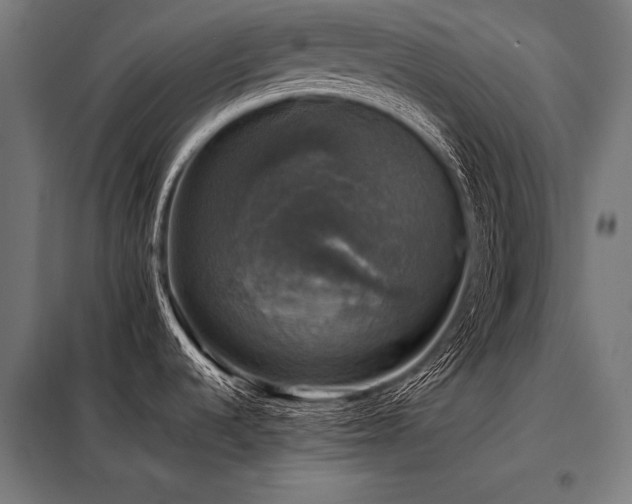 X0000098191536200804241232