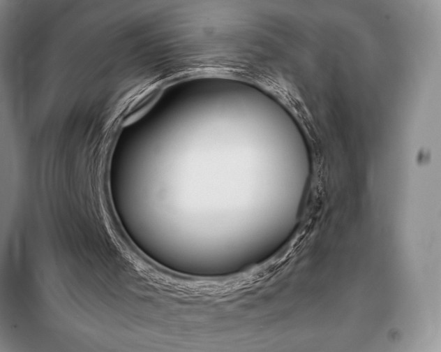 X0000098190001200805011134