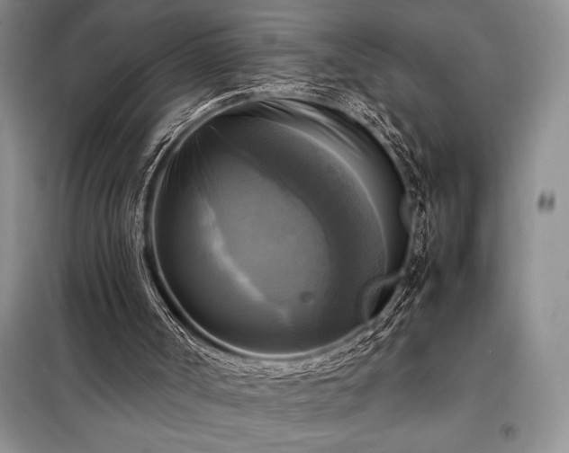 X0000098190002200805011134