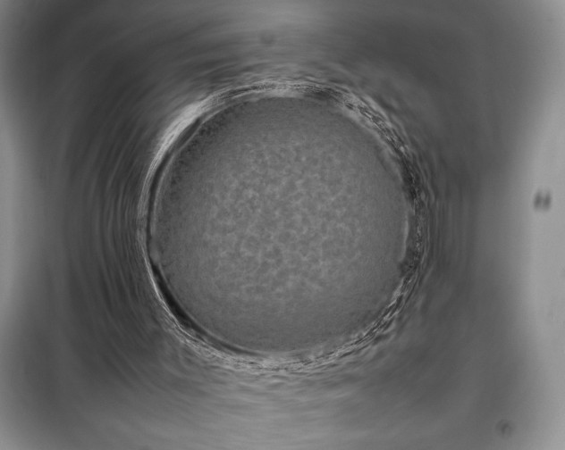 X0000098190003200805011134