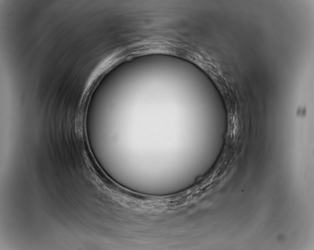 X0000098190004200805011134