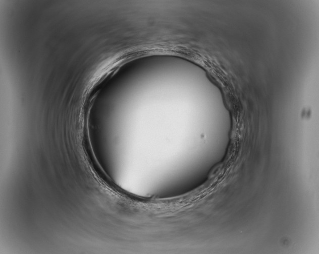 X0000098190005200805011134