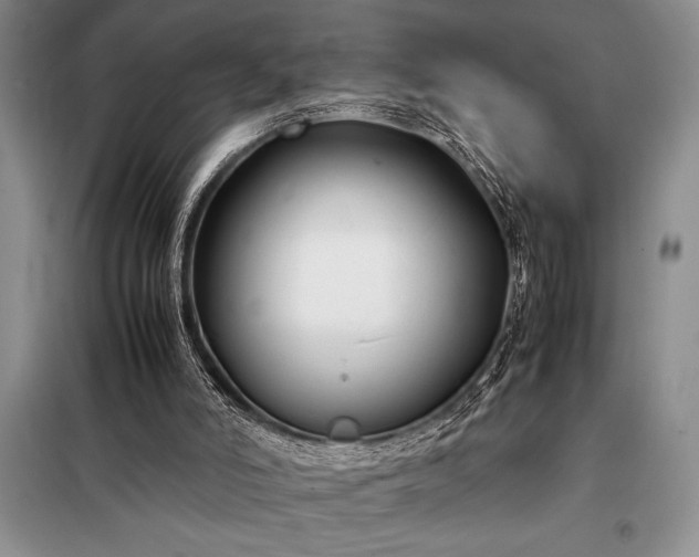 X0000098190006200805011134