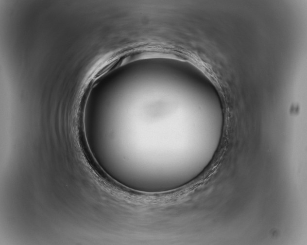 X0000098190007200805011134