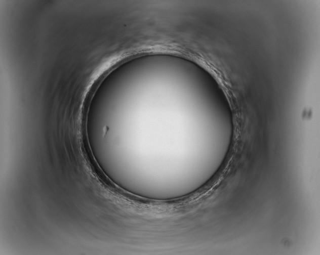 X0000098190008200805011134