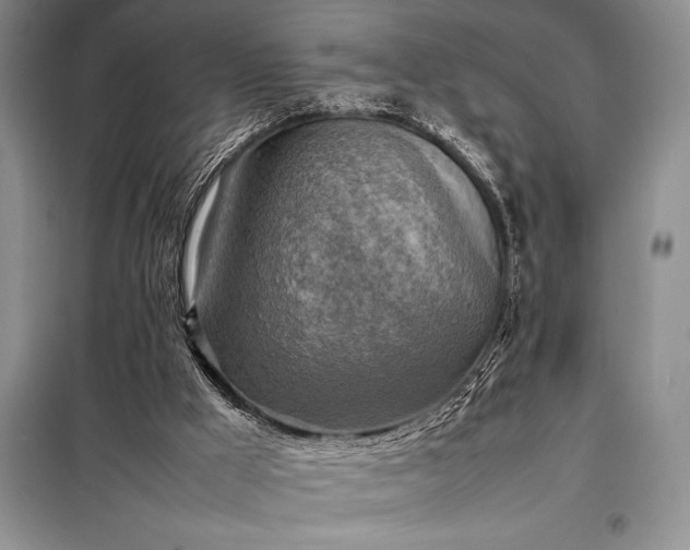 X0000098190009200805011134
