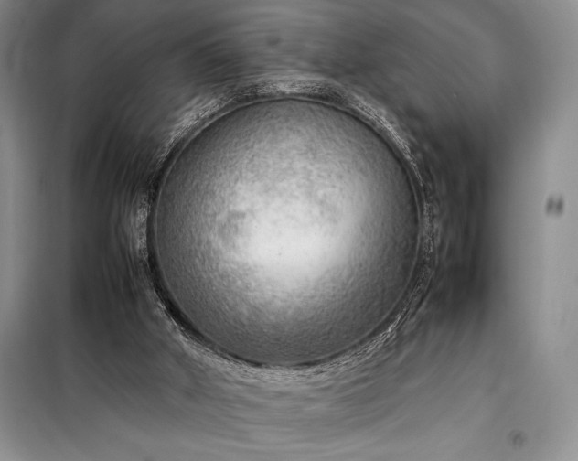 X0000098190010200805011134