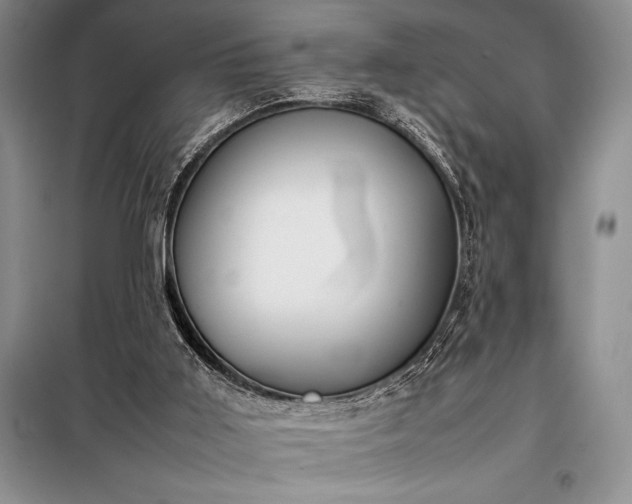 X0000098190011200805011134