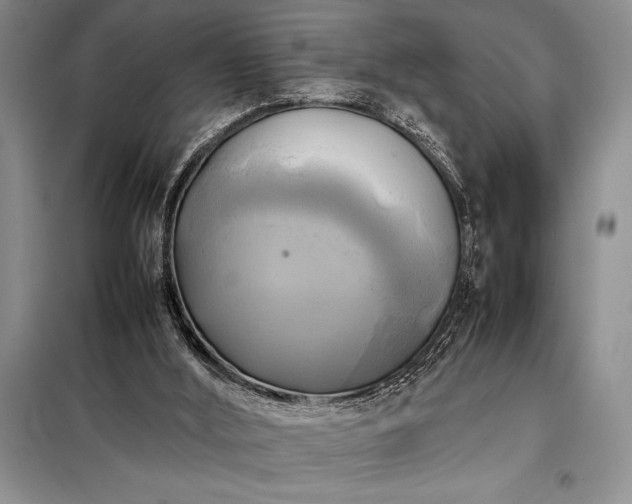X0000098190012200805011134