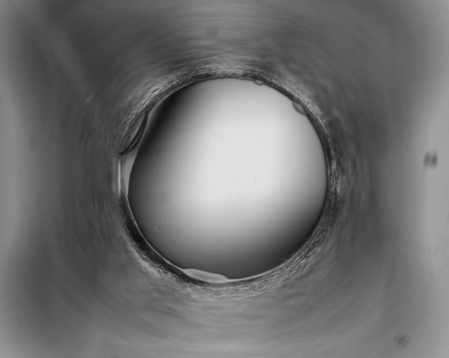 X0000098190013200805011134