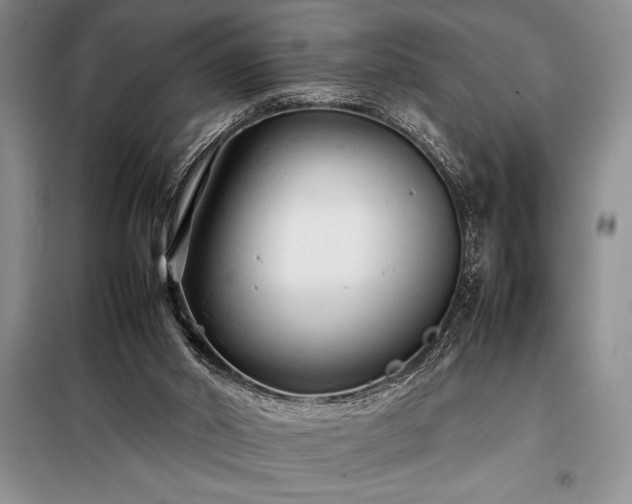 X0000098190014200805011134