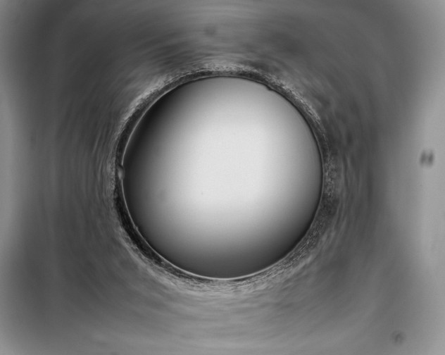 X0000098190015200805011134
