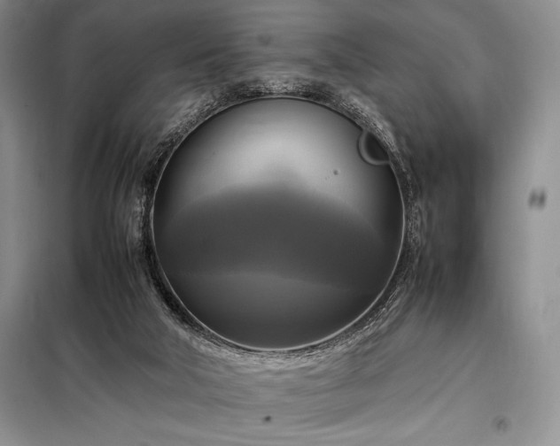 X0000098190018200805011134