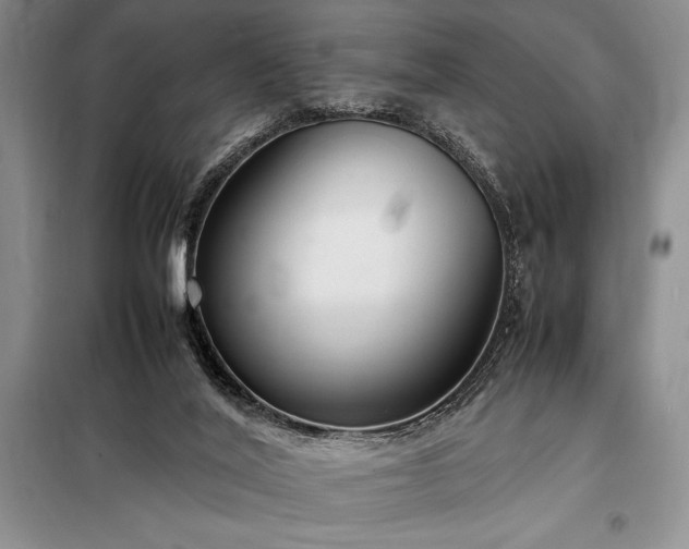 X0000098190020200805011134